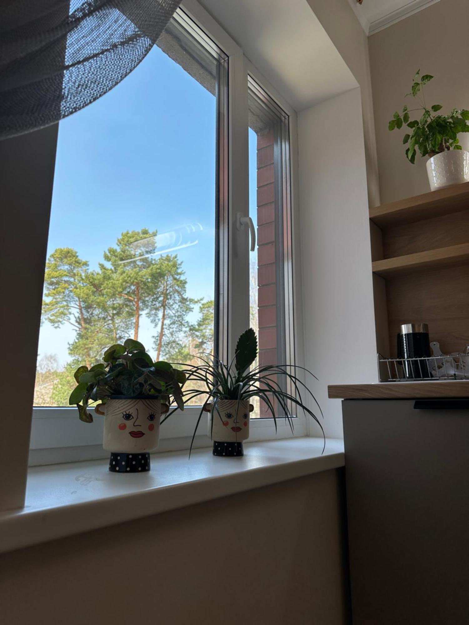 Pie Juras Apartment Saulkrasti Bilik gambar
